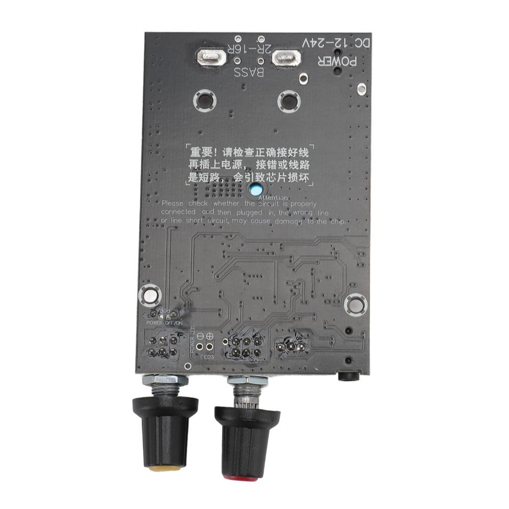 100W TPA3116 Subwoofer Amplifier Board 12-24V High Power Digital Amplifier for DIY Speaker