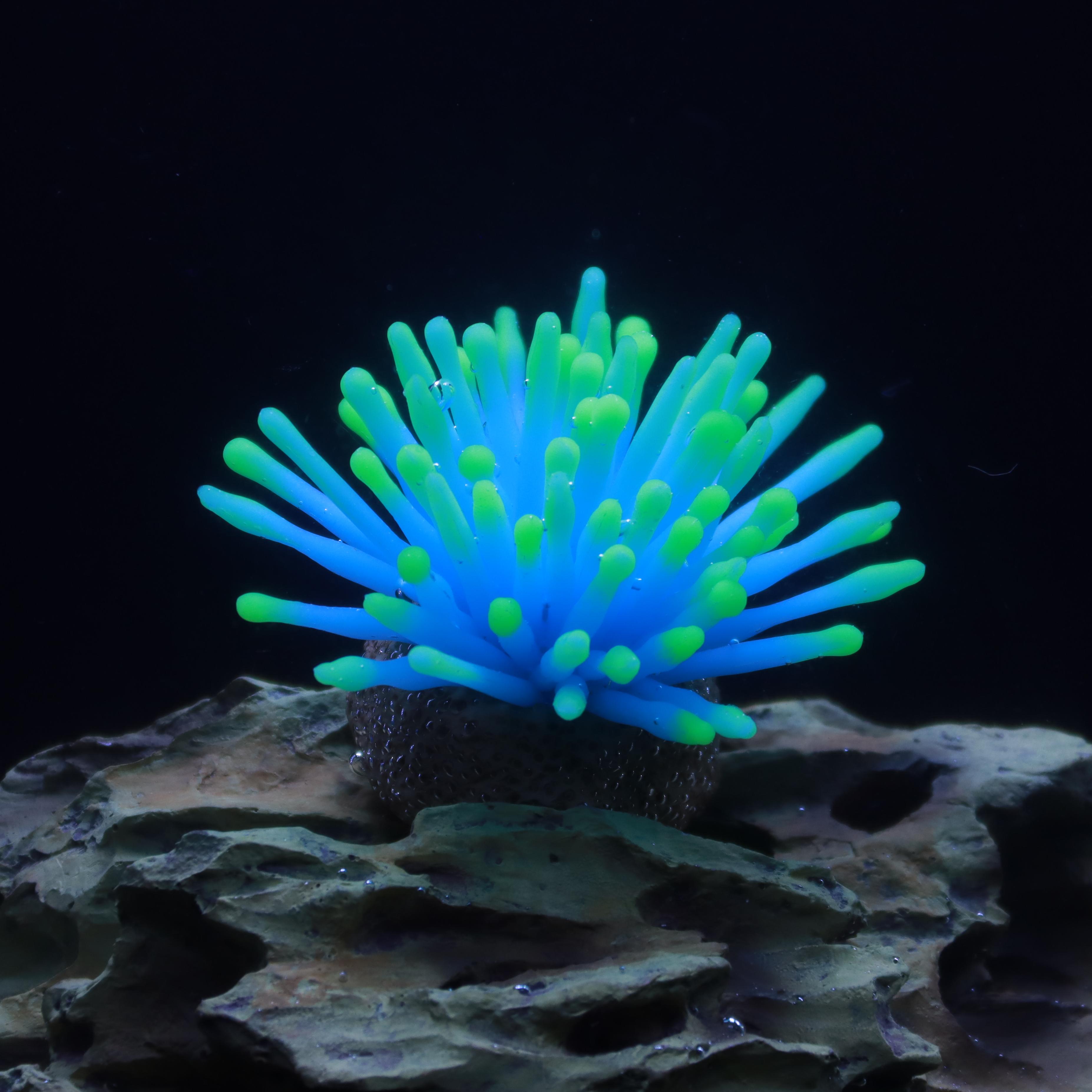 

1 pc mini colorful coral, resin base, aquatic blue/purple coral decoration, aquarium landscape, add vitality to the fish tank синій
