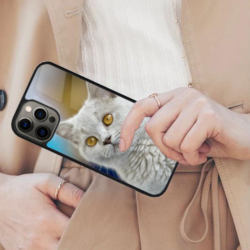Beautiful Grey British Shorthair Cat Magnetic Phone Case For iPhone 17 Air 16 14 13 12 Pro Max 15 Plus Wireless MagSafe Cover