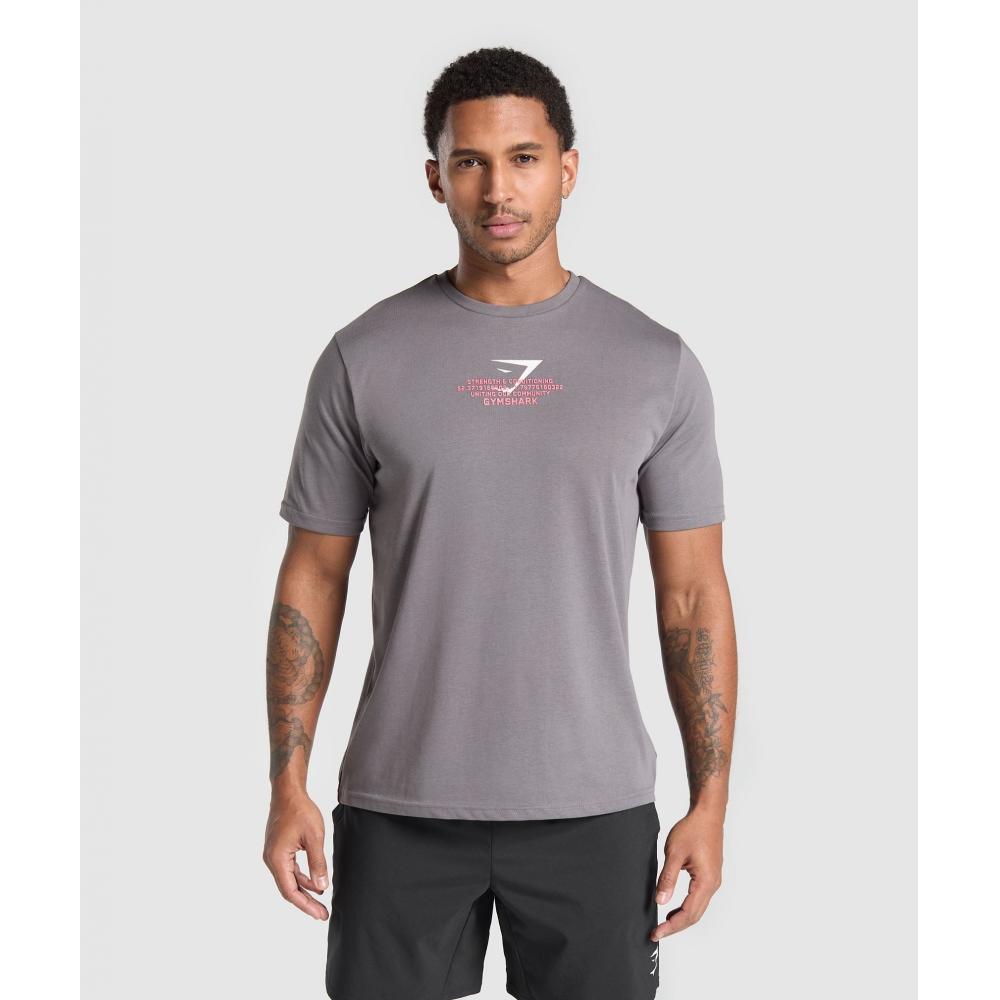 

Gymshark Одежда для фитнеса Функциональная футболка Матовая серая A7a3e Gchk XS