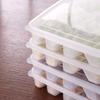 Scatola Congelata per Ravioli Contenitore Organizer per Frigorifero Contenitore per Alimenti Croccanti