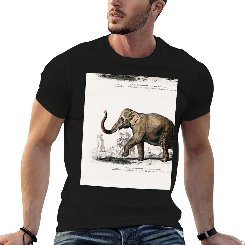 Elephant Vintage Illustration T-Shirt Ultra Soft Tee Top