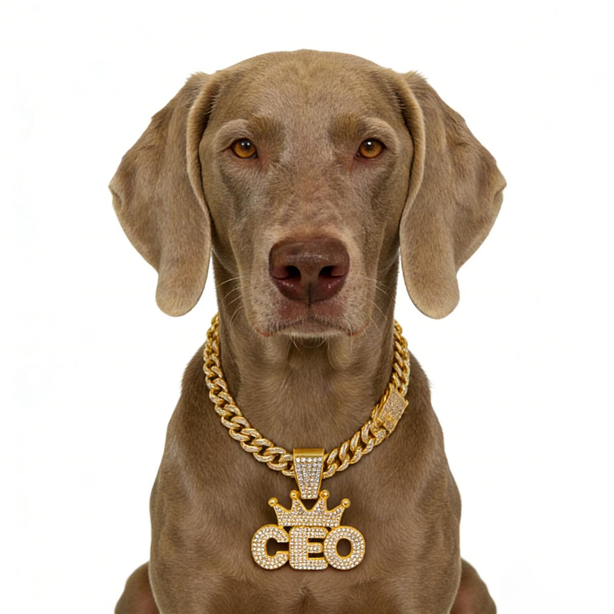 Gouden Hondenketting Luxe Hanger Hondenhalsband Lopen Metaal Met Design Gesp Huisdier Ketting Sieraden Accessoires Voor Middelgrote Grote Honden 26inch(65cm)