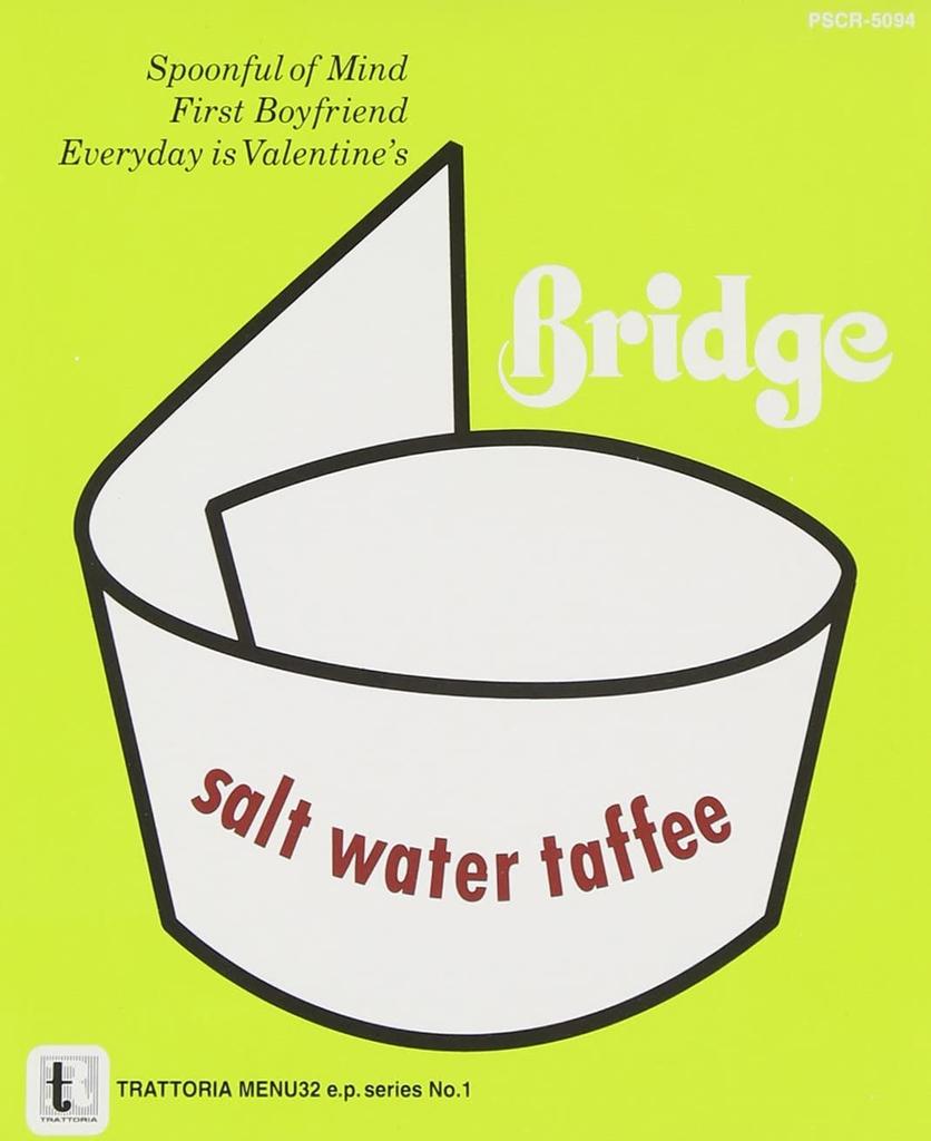CD BRIDGE - Salt Water Taffee PSCR5094 Trattoria 1994 Japan Obi Rock Used