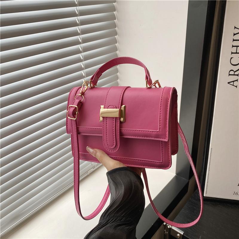 French Niche Design Portable Small Bag Women's 2025 New Trendy and Versatile Ins Texture Commuter Shoulder Messenger Bag