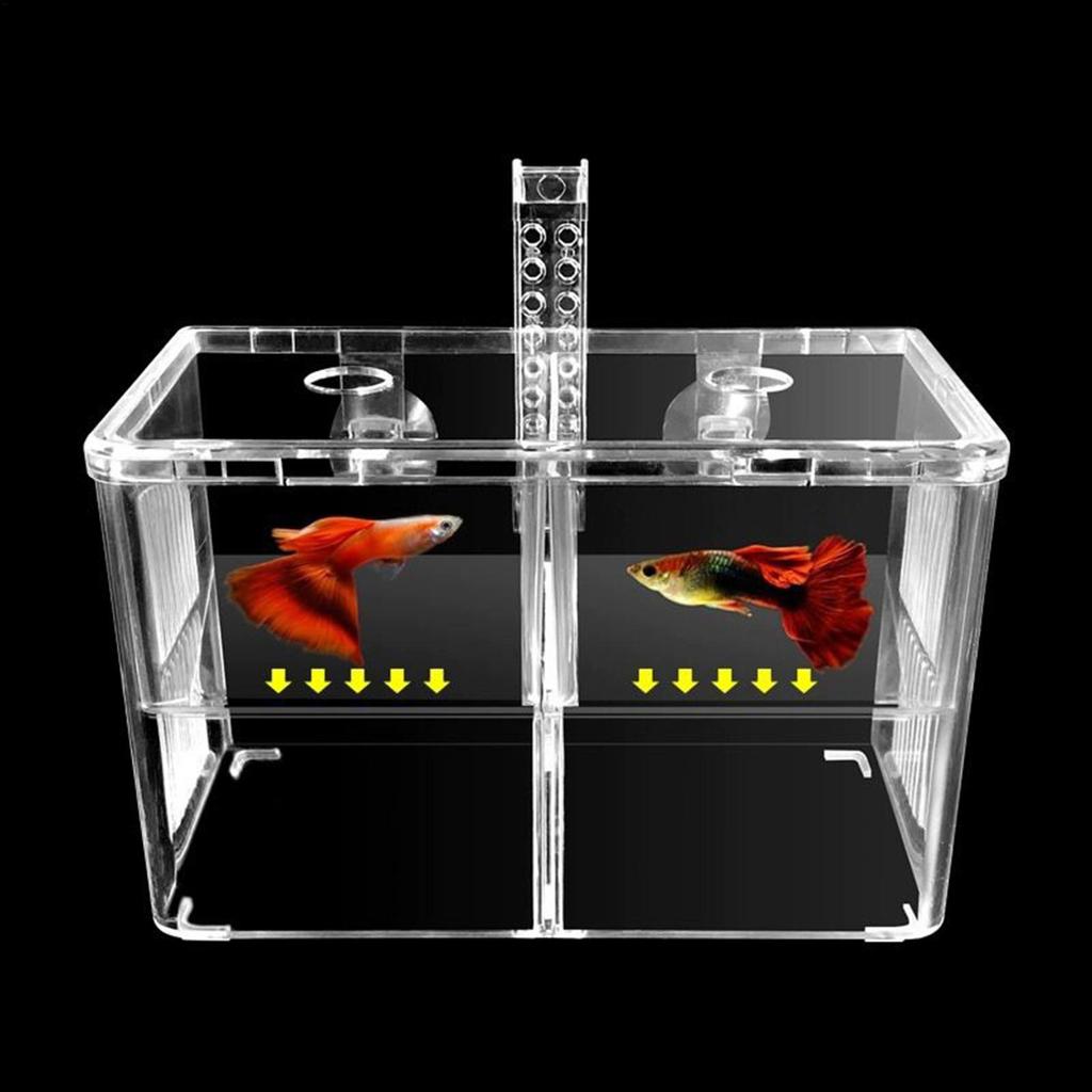 Aquarium Breeder Box Transparent Hatching Container Double-Chamber Shrimp Breeding Box for Guppy Fry Betta Shrimp Saltwater
