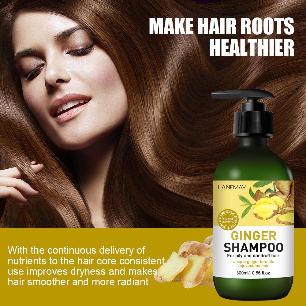 Ingwer-Shampoo – Tiefenreinigung und Fettentfernung – Macht die Haarwurzeln geschmeidiger – Für fettiges und schuppiges Haar