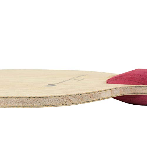 Butterfly Table Tennis Racket Jun Mizutani/ZLC AN Shakehand Anatomic Attack 36612