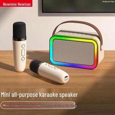 Newmine DP97 Wireless Bluetooth KTV Microphone Speaker CN Plug (adapter Included)