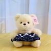 New bear doll eight-inch grab machine doll cute hug bear doll wearing skirt teddy bear plush toy gift