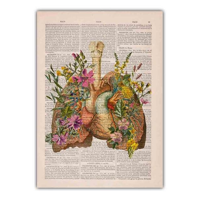 New Retro Art Abstract Canvas Painting Human Organs Poster Science and Education Wall Painting Classroom Corridor Decorative Mural No Frame
