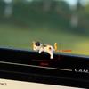 Healing Edge Simulation Cat Miniature Figurine Computer Cup Car Edge Decoration Ornament DIY Resin Crafts Cream Gel Accessories