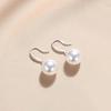 S925 Sterling Silver Large Pearl Dangle Earrings for Women - 2024 Niche Design Ear Hooks, High-End Temperament Jewelry.