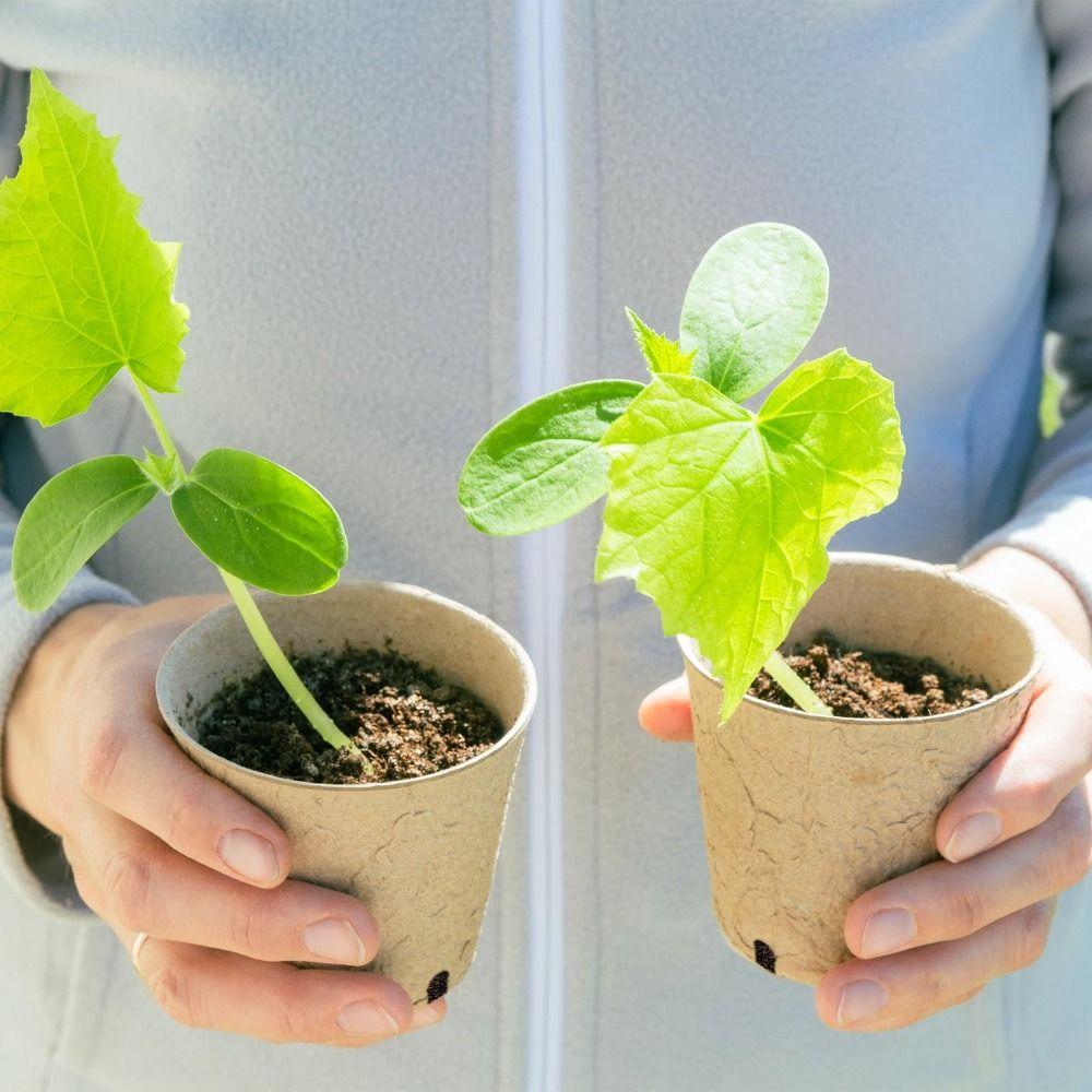 50PCS Biodegradable Plant Starter Pots with 50PCS Plant Labels Nursery Pots  Home Gardening