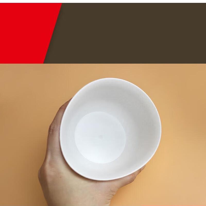 ZISIZ Disposable Tableware Set