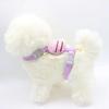 Dog Safety Harness with Leash Set No Pull for Small Dog Training Walking