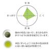 Sencha Matcha Magatama Green Tea Japanese Matcha-infused Cold Brew Leaves Home Use Household Guest Souvenir Return Gift Shimane (100g x 3 bottles)