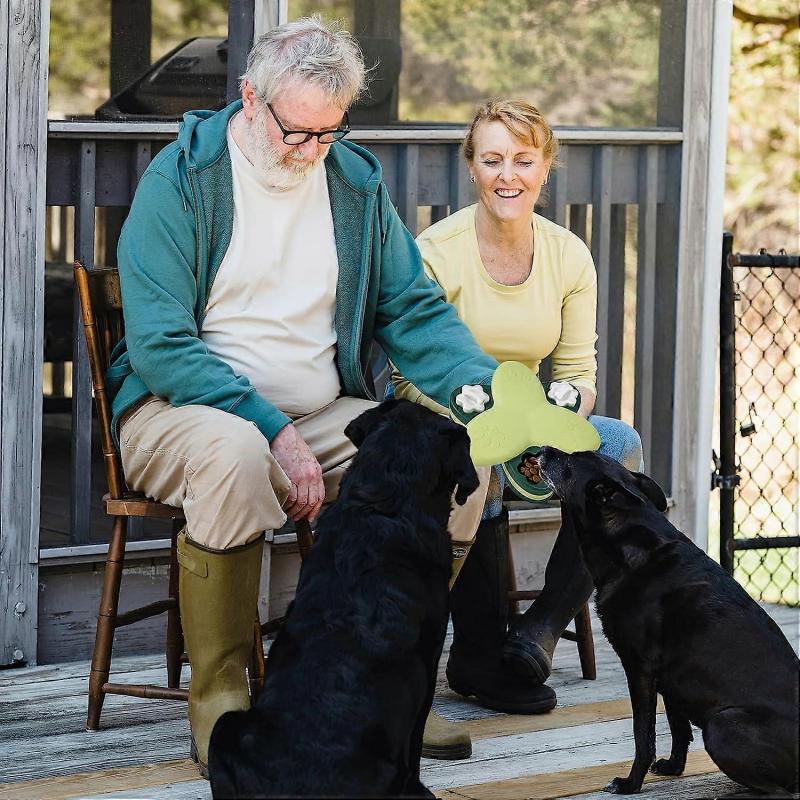 Dog Educational Toys for Smart Large Dogs - Hard Interactive Rich Dog Toys for Distributing Treats, Slow Food, Puppy Gifts, Medium, Green