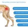 Senior Dog Leg Brace Carry Sling for Back Leg Adjustable Lift Harness for Long Trip Injuries Dog Joint Recovery Device