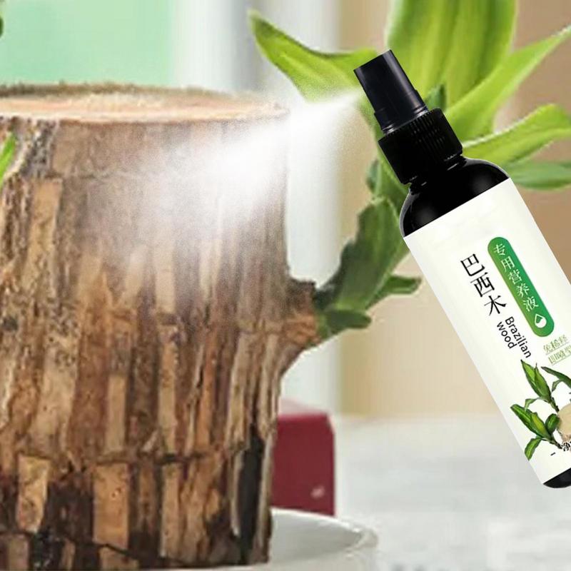 Brazilian Wood Plant Food 100ml Indoor Plant Fertilizer for Lucky Wood Brazilian Wood Houseplant Fertilizer Brazilian Wood Plant