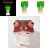 Deluxe Sculpted Latex Frog Mask For Pranksters Cosplayers