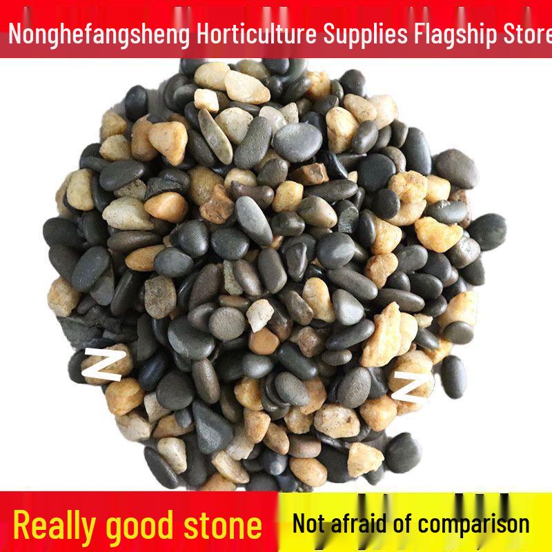

Natural Stream Stone Sand for Fish Tank Aquascaping & Turtle Habitat Decor