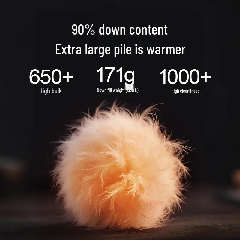 Camel 2025 Unisex Hooded Puffer Down Jacket