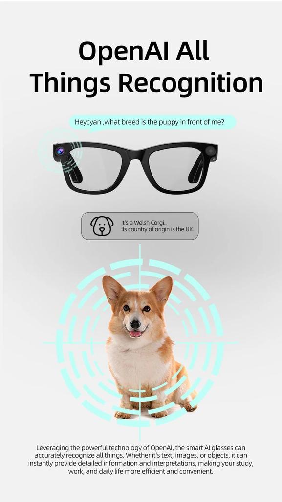 ERVPES G300 AI Smart Glasses 800MP HD Camera Bluetooth Call Voice Assistant Control Smart Glasses
