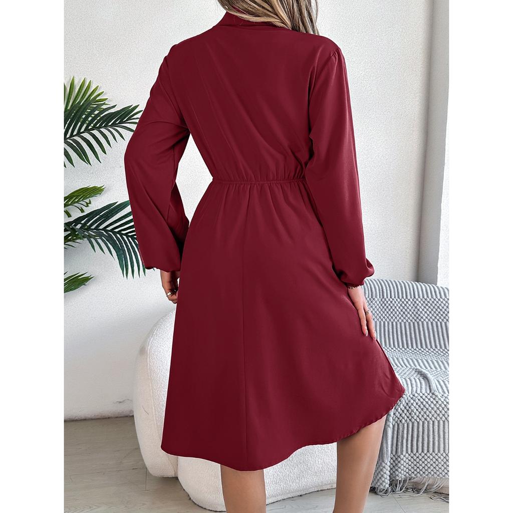 HNXC Autumn and Winter Casual Button-tied, Waist-cinching Long-sleeved Shirt Dress for Women