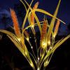 Oeny Solar Wheat Spike LED Garden Light