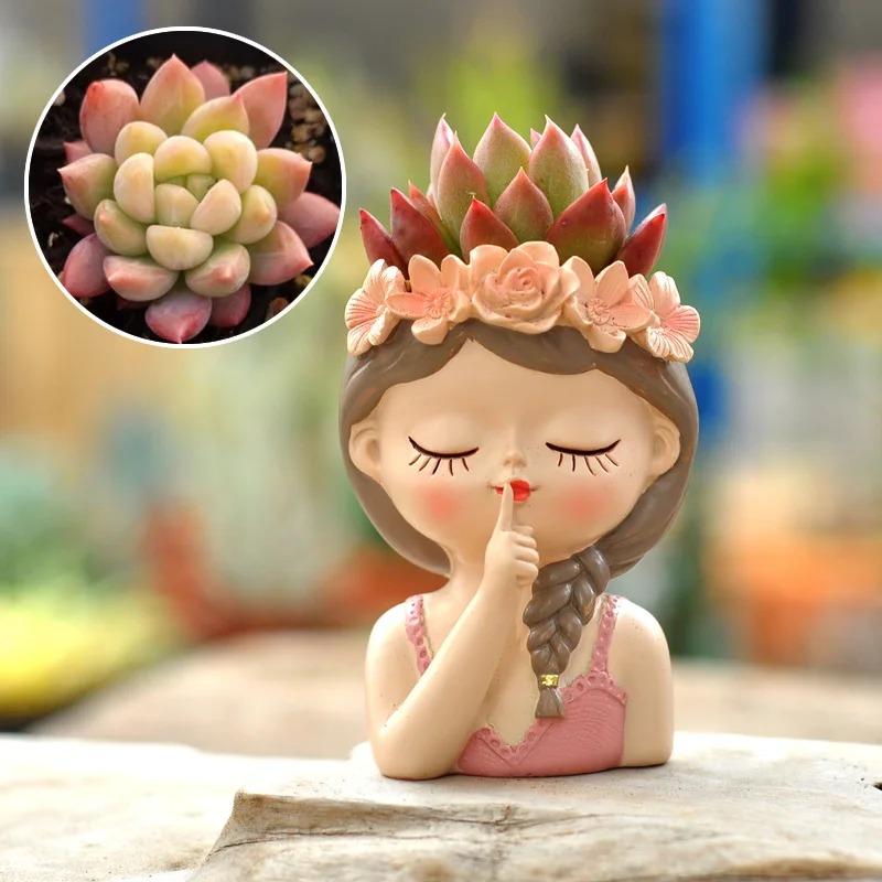Fairy Succulent Flowerpot Desktop Ornament Succulents Plant Potted Green Plants Vase  Home Gardening