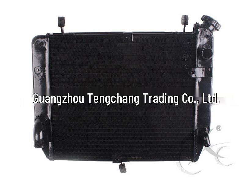 YZF1000 R1 2002-03 Radiator Assembly Water Cooler