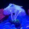 Aquarium Glowing Artificial Jellyfish Silicone Material Fluorescent Effect Realistic Appearance for Fish Tank Decoration Home Office Aquarium Ornament