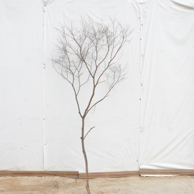 Künstlicher Baumzweig und Stamm Dekorationsstück