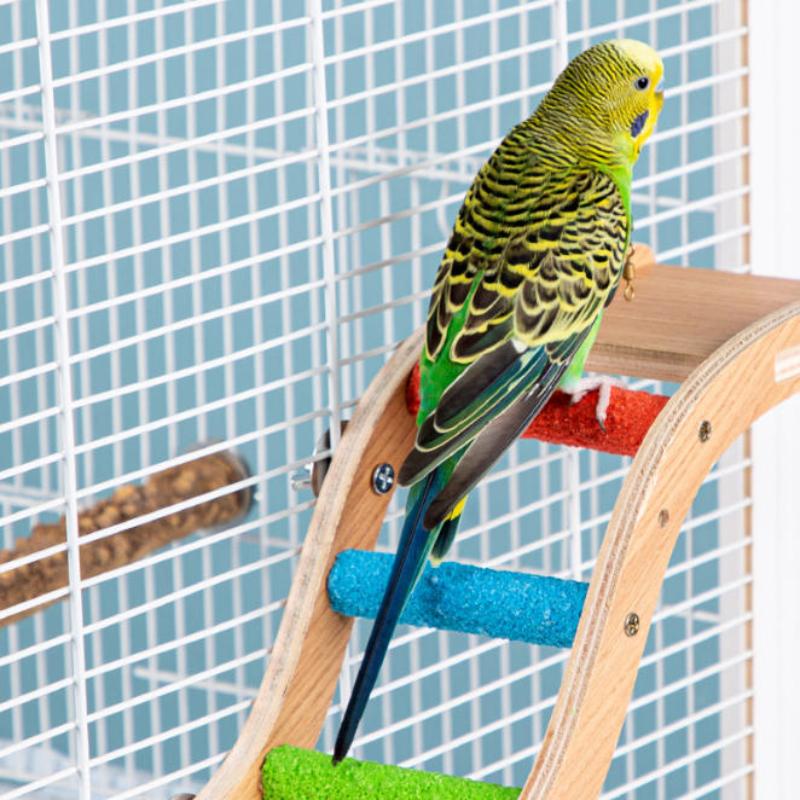 /6/8-stufige Vogelkletterleiter Vogel mattierter Stab Papageienkralle Zahnschleifstange Sitzstange Spielzeug Interaktives Vogelzubehör