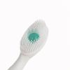 8/16Pcs Portable And Individually Packaged 3-In-1 Brush Head Toothbrush Floss Disposable Toothbrush For Adults On Business Trips