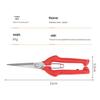 Extended Garden Pruning and Fruit Picking Shears - Floral and Grape Tree Tools