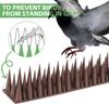 10/1 Stück Outdoor Vogelabwehrspikes Biegsame Vögel Tauben Katzen Spikes Abwehrmittel für Garten Fenster Zäune Dach Balkon Geländer