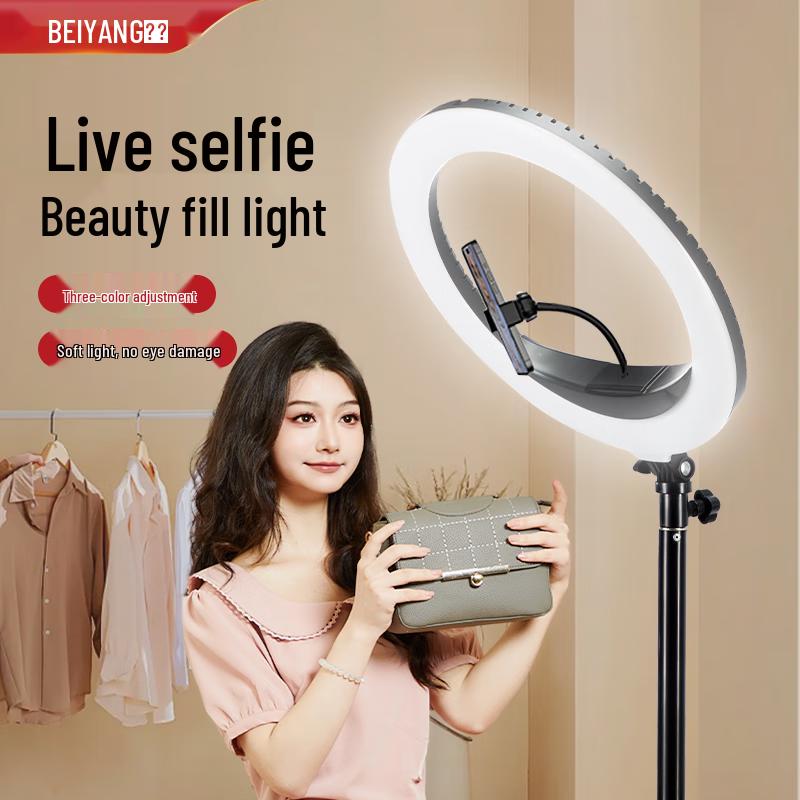 Beiyang Professional LED Fill Light Kit for Live Stream & Photography