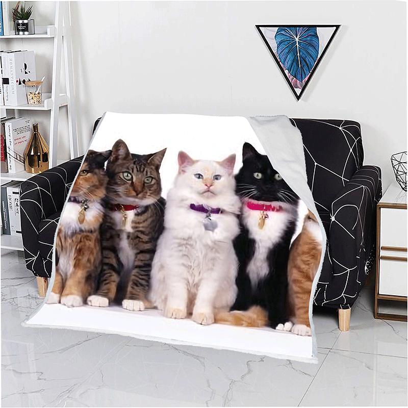 cat print blanket