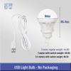 5V USB-Powered Low-Voltage LED Bulb for Power Banks and Outdoor Use