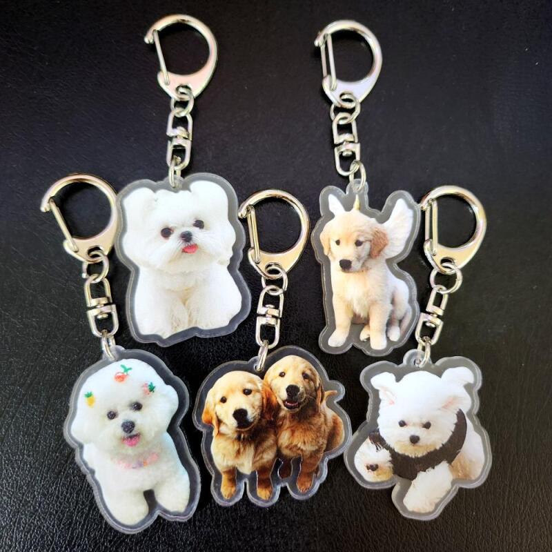 Acrylic keyring key ring bag decoration key holder bag charm (01) Bichon