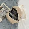Plush Fabric Women's Shoulder Crossbody Bag Small Fashion Lambs Wool Fluffy Fur Winter Female Bag Designer Handbags