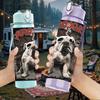 1 Stück Retro Bulldogge Hund Vintage Porträt Druck 750ml Tragbare Sportwasserflasche Auslaufsicher Reise Fitnessstudio Trinkbecher