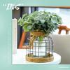 Artificial Eucalyptus Stems with White Seeds Realistic Greenery for Wedding Bouquets Centerpieces Home Decor and Outdoor Flowers