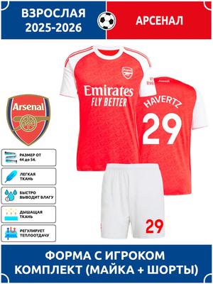 Havertz Arsenal Adult Piłkarska Koszulka #29 Edycja Ligi Mistrzów Piłkarskie Koszulki Zestaw Treningowy