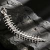 Punk Scorpion Bracelet Cool Men Bangle Trendy Dragon Hand Chain  Girls