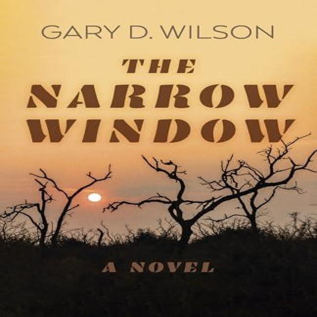 Narrow Window The A Novel by Gary D. Wilson Paperback Book 9781803414621