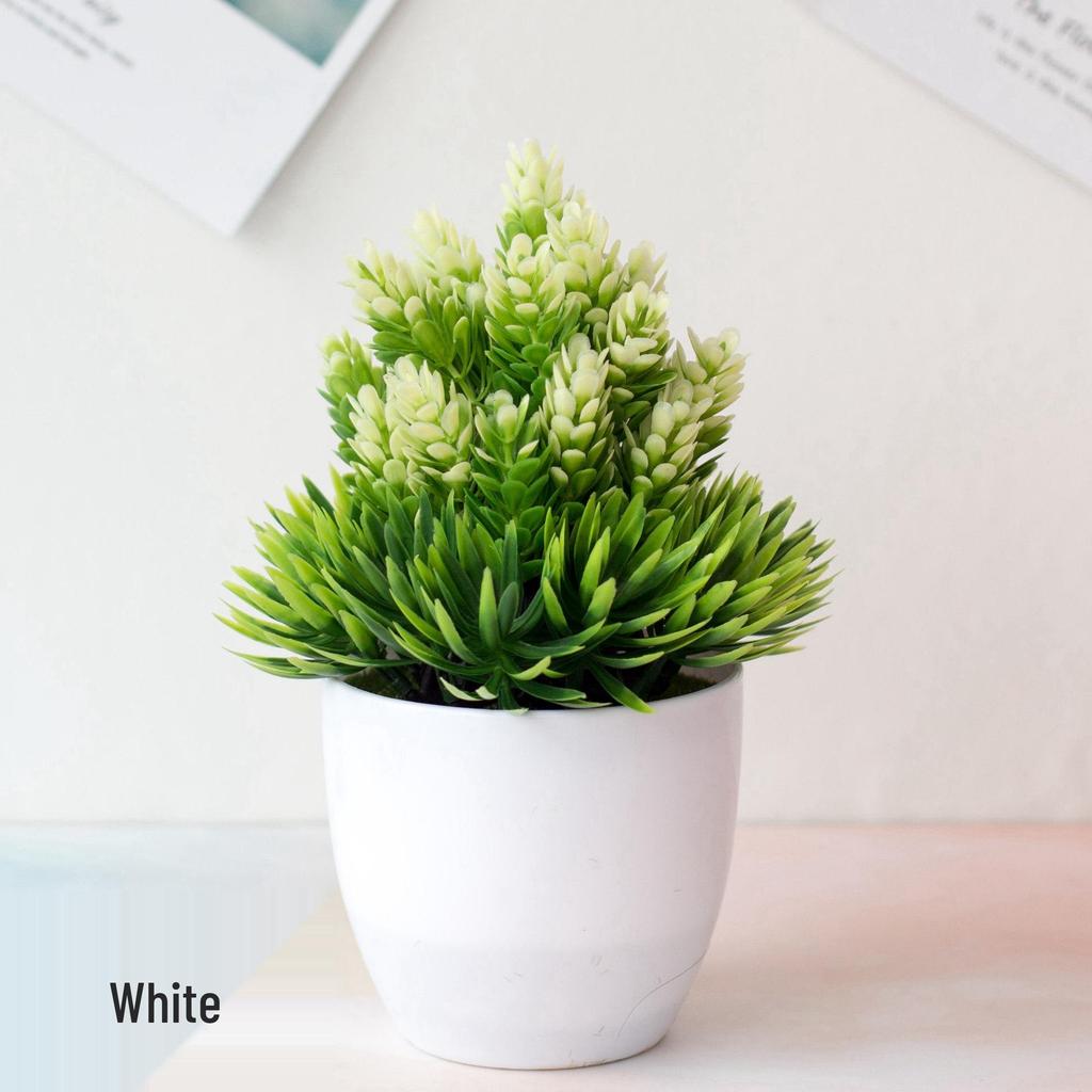 Mini Potted Grass Bonsai: Cherry Snowball Home Decor Ornament