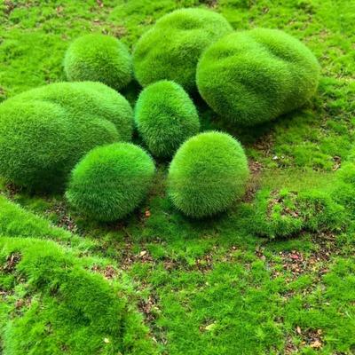 10pcs Simulated Moss Stones for Home Garden Flower Pots - Micro Landscape Decor & Garden Ornaments